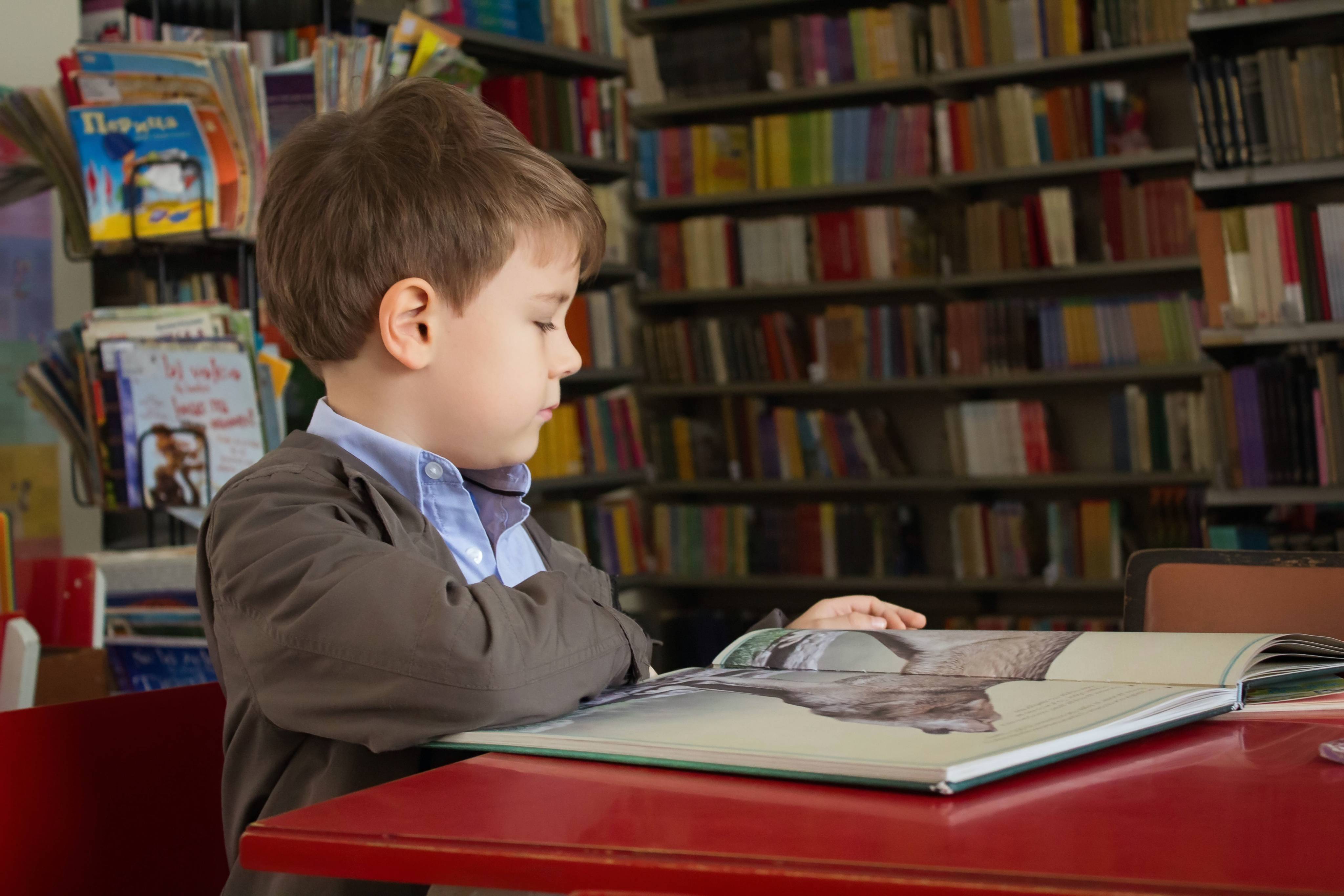 библиотека Библиоцентр Детского Чтения Выборгского района
